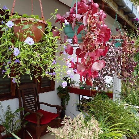 Gem Villa Weligama Esterno foto