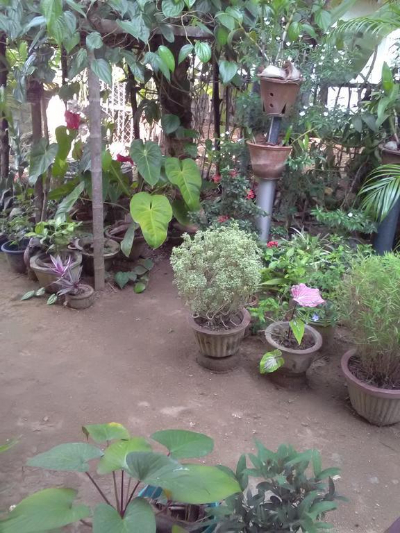 Gem Villa Weligama Esterno foto